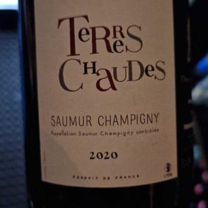 Terres Chaudes - Domaine des Roches Neuves - thierry-et-louis-germain