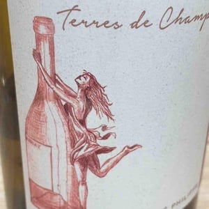 Terres de Champuent - Hervé Philippe – Vigneron - Hervé Philippe -2023