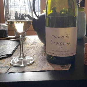 Terres De Chazeux - Domaine La Vigne Mouton - margaux-calland-valentin-richoux