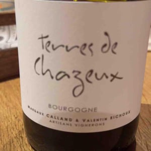 Terres De Chazeux - Domaine La Vigne Mouton - margaux-calland-valentin-richoux -2021