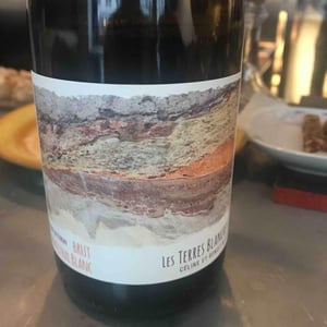 Ancestral Blanc - Les Terres Blanches - celine-benoit-blet -2022