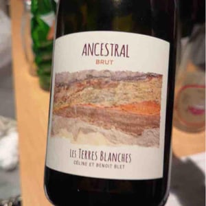 Ancestral Blanc - Les Terres Blanches - Celine & Benoit Blet -2022