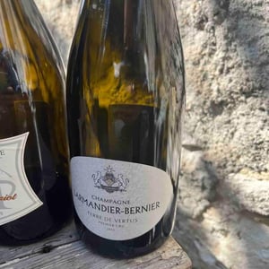 Terres de Vertus - Premier Cru - Champagne Larmandier-Bernier - pierre-sophie-arthur-larmandier