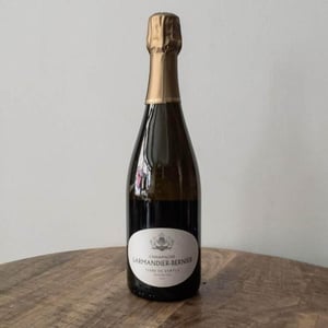 Terres de Vertus - Premier Cru - Champagne Larmandier-Bernier - pierre-sophie-arthur-larmandier