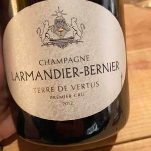 Terres de Vertus - Premier Cru - Champagne Larmandier-Bernier - pierre-sophie-arthur-larmandier