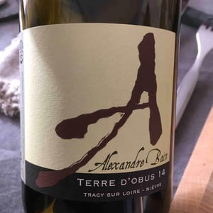 Domaine Alexandre Bain - Alexandre Bain - Terres d'Obus