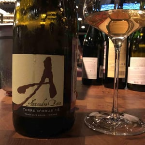 Domaine Alexandre Bain - Alexandre Bain - Terres d'Obus
