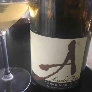 Domaine Alexandre Bain - Alexandre Bain - Terres d'Obus