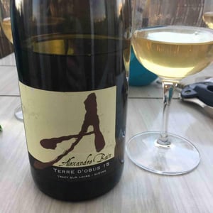 Domaine Alexandre Bain - Alexandre Bain - Terres d'Obus