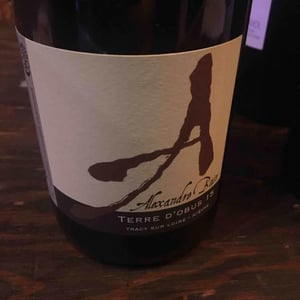 Domaine Alexandre Bain - Alexandre Bain - Terres d'Obus