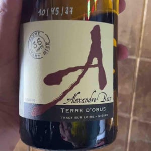 Terres d'Obus - Domaine Alexandre Bain - Alexandre Bain 
