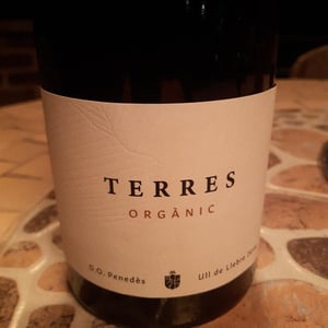 Terres Organic - Terres Wine - josep-masachs -2019