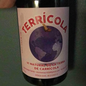 Terricola Negre - Celler Tomàs Torres - vicent-tomas-soler -2018