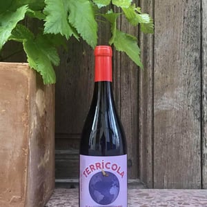 Terricola Negre - Celler Tomàs Torres - vicent-tomas-soler -2018
