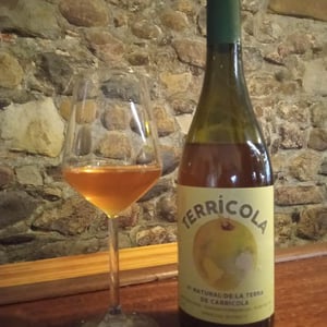 Terricola 2019
