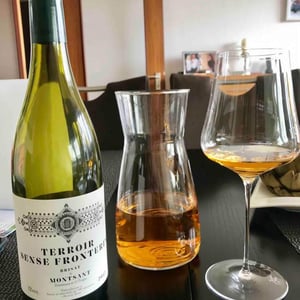 Terroir Sense Fronteres - Terroir Al Limit - Dominik Huber and Eben Sadie 