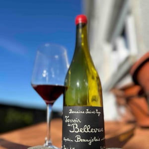 Terroir de Bellevue - Domaine Saint-Cyr - Raphaël Saint-Cyr 