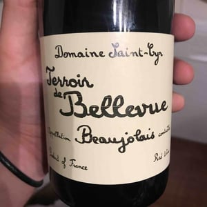 Domaine Saint-Cyr - Raphaël Saint-Cyr - Terroir de Bellevue