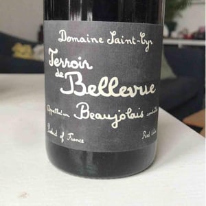 Domaine Saint-Cyr - Raphaël Saint-Cyr - Terroir de Bellevue