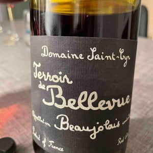 Domaine Saint-Cyr - Raphaël Saint-Cyr - Terroir de Bellevue