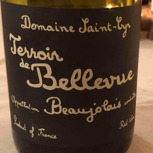 Domaine Saint-Cyr - Raphaël Saint-Cyr - Terroir de Bellevue