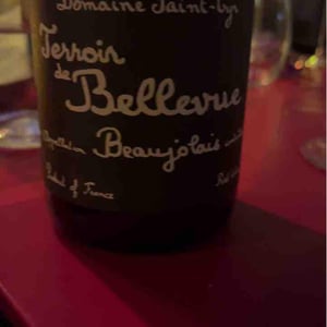 Terroir de Bellevue - Domaine Saint-Cyr - raphael-saint-cyr