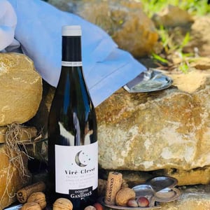 Terroir De Clessé - Domaine des Gandines - benjamin-et-florent-dananchet