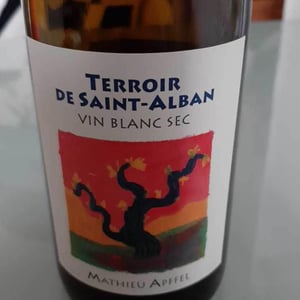 Mathieu Apffel - Camille & Mathieu Apffel - Terroir De Saint-Alban