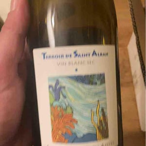 Terroir De Saint-Alban - Mathieu Apffel - Camille & Mathieu Apffel 