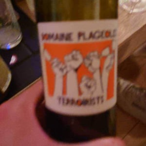 Terroirists 2 - Domaine Plageoles - Bernard, Florent & Romain Plageoles 