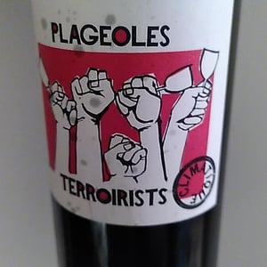 Terroirists - Domaine Plageoles - bernard-florent-romain-plageoles