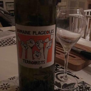 Terroirists Orange - Domaine Plageoles - bernard-florent-romain-plageoles