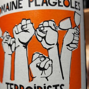 Terroirists Orange - Domaine Plageoles - bernard-florent-romain-plageoles