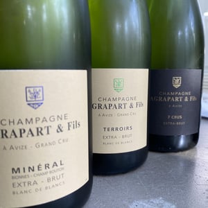 Terroirs Extra Brut Blanc de Blancs Grand Cru - Champagne Agrapart & Fils - nathalie-pascal-agrapart