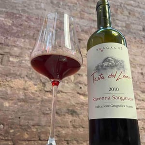 Testa Del Leone - Azienda Agricola Bragagni Andrea - andrea-bragagni -2010
