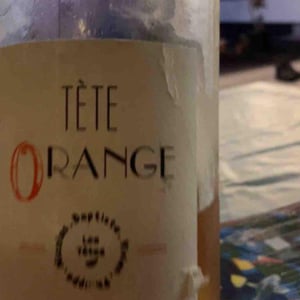 Tète orange - Domaine Grosbois - sylvain-nicolas-grosbois
