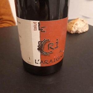 Taiut - Le Cri de L'Araignée - Olivier Trombetta 