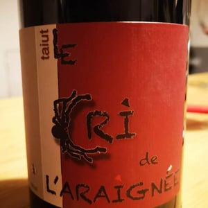 Taiut - Le Cri de L'Araignée - Olivier Trombetta 