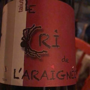 Taiut - Le Cri de L'Araignée - Olivier Trombetta 