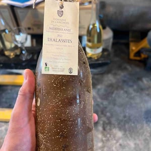 Thalassites - Domaine de l'Anchois - stephan-buffille -2022
