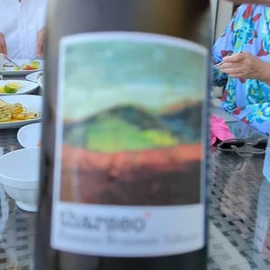 Tharseo - Domaine Benjamin Taillandier - Benjamin Taillandier 