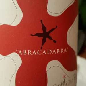 L'abracadabra - Le Chemin Des Rêves - benoit-viot