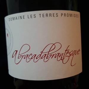 L’abracadabrantesque - Les Terres Promises - jean-christophe-comor