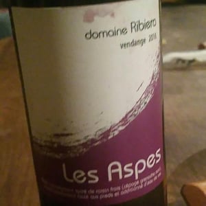 Les Aspes - Domaine Ribiera - Christine & Régis Pichon 