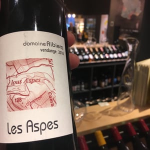 Les Aspes - Domaine Ribiera - christine-regis-pichon