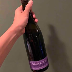 Domaine Deboutbertin - Stéphanie & Vincent Deboutbertin - Baliverne