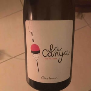 Mas Pellisser - Oriol Artigas - La Canya