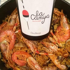 Mas Pellisser - Oriol Artigas - La Canya