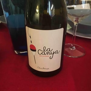 La Canya - Mas Pellisser - Oriol Artigas 