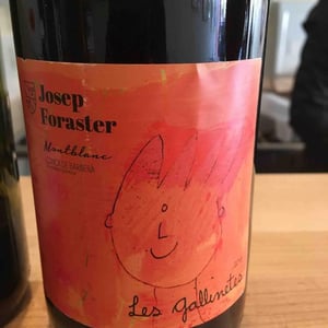 Les Gallinetes - Conca de barbera - josep-foraster